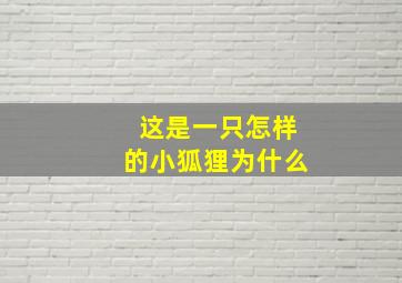 这是一只怎样的小狐狸为什么