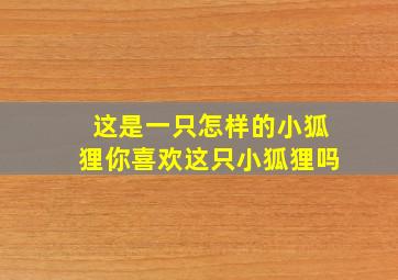 这是一只怎样的小狐狸你喜欢这只小狐狸吗