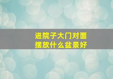 进院子大门对面摆放什么盆景好