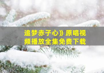 追梦赤子心》原唱视频播放全集免费下载