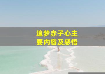 追梦赤子心主要内容及感悟