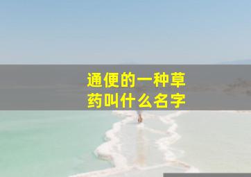 通便的一种草药叫什么名字