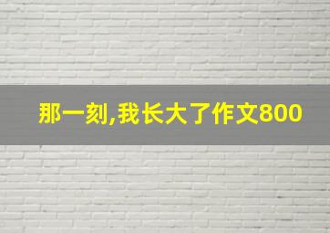 那一刻,我长大了作文800