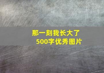 那一刻我长大了500字优秀图片