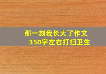 那一刻我长大了作文350字左右打扫卫生