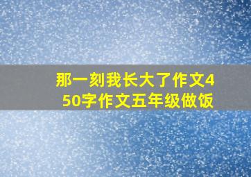 那一刻我长大了作文450字作文五年级做饭