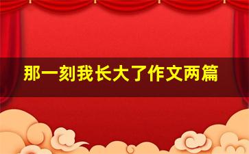 那一刻我长大了作文两篇