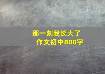 那一刻我长大了作文初中800字