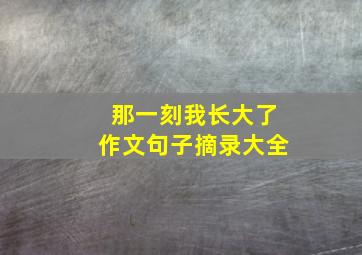 那一刻我长大了作文句子摘录大全