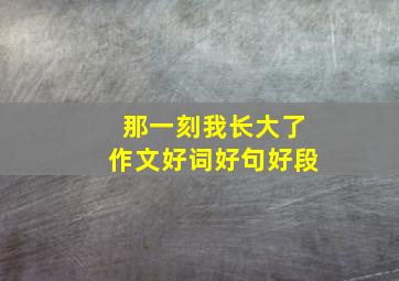 那一刻我长大了作文好词好句好段