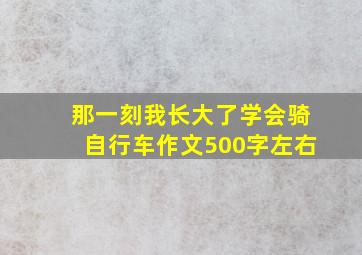 那一刻我长大了学会骑自行车作文500字左右