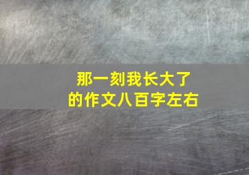 那一刻我长大了的作文八百字左右