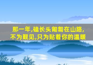 那一年,磕长头匍匐在山路,不为觐见,只为贴着你的温暖