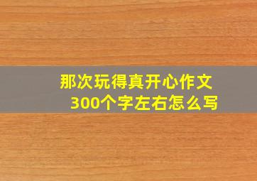 那次玩得真开心作文300个字左右怎么写