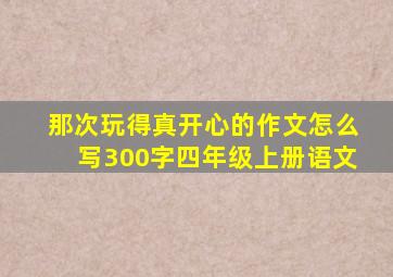 那次玩得真开心的作文怎么写300字四年级上册语文