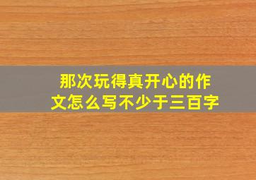 那次玩得真开心的作文怎么写不少于三百字