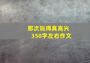 那次玩得真高兴350字左右作文