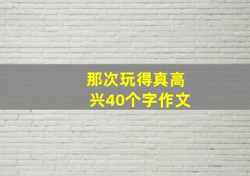 那次玩得真高兴40个字作文