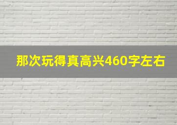 那次玩得真高兴460字左右