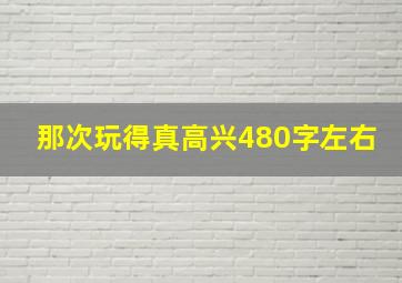 那次玩得真高兴480字左右