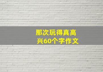 那次玩得真高兴60个字作文