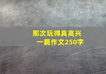 那次玩得真高兴一篇作文250字