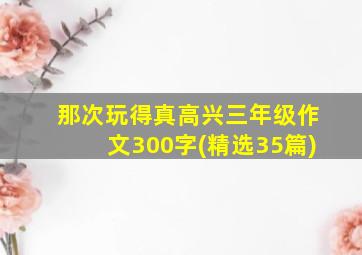 那次玩得真高兴三年级作文300字(精选35篇)