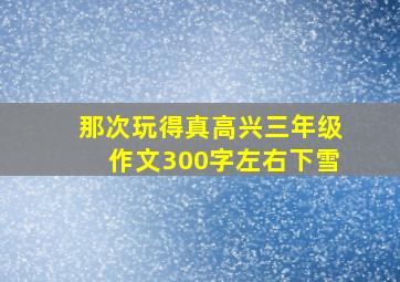 那次玩得真高兴三年级作文300字左右下雪