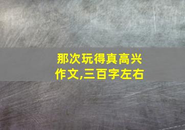 那次玩得真高兴作文,三百字左右