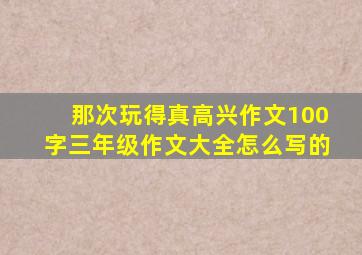 那次玩得真高兴作文100字三年级作文大全怎么写的