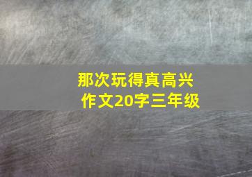 那次玩得真高兴作文20字三年级