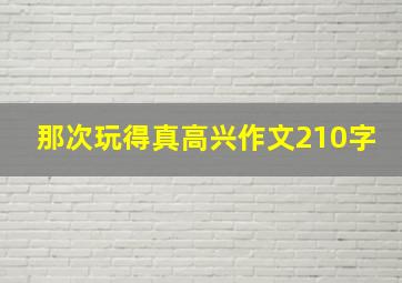 那次玩得真高兴作文210字