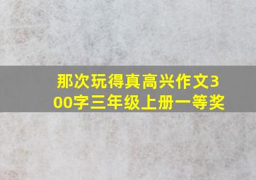 那次玩得真高兴作文300字三年级上册一等奖