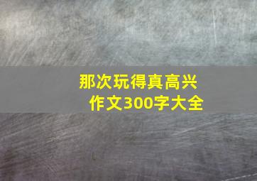 那次玩得真高兴作文300字大全