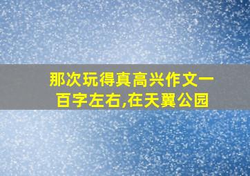 那次玩得真高兴作文一百字左右,在天翼公园