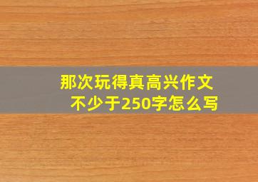 那次玩得真高兴作文不少于250字怎么写