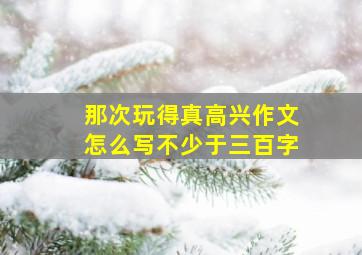 那次玩得真高兴作文怎么写不少于三百字