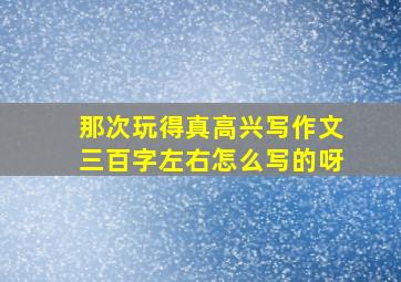 那次玩得真高兴写作文三百字左右怎么写的呀