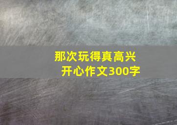 那次玩得真高兴开心作文300字