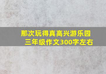 那次玩得真高兴游乐园三年级作文300字左右