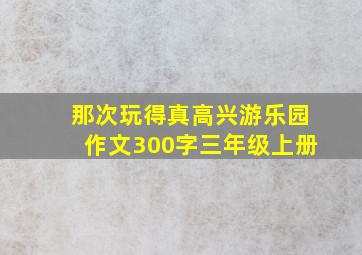 那次玩得真高兴游乐园作文300字三年级上册