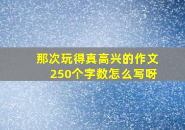 那次玩得真高兴的作文250个字数怎么写呀