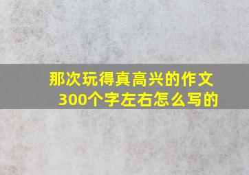 那次玩得真高兴的作文300个字左右怎么写的