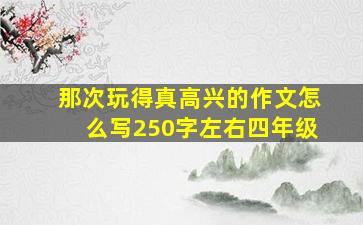 那次玩得真高兴的作文怎么写250字左右四年级