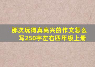 那次玩得真高兴的作文怎么写250字左右四年级上册