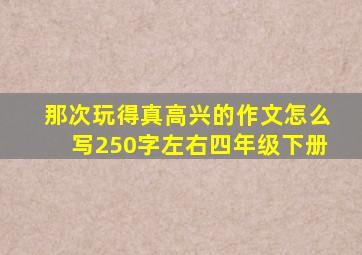 那次玩得真高兴的作文怎么写250字左右四年级下册