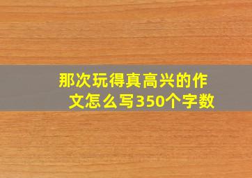 那次玩得真高兴的作文怎么写350个字数