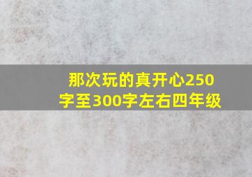 那次玩的真开心250字至300字左右四年级