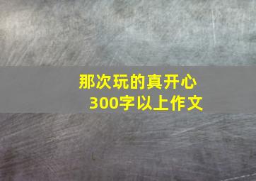 那次玩的真开心300字以上作文