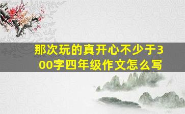 那次玩的真开心不少于300字四年级作文怎么写